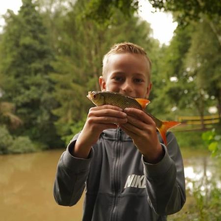 Saevis Tranquillus In Undis In De Ijsvogel Villa Diffelen Eksteriør bilde